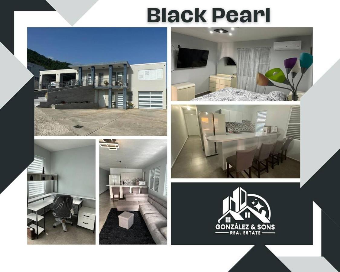 Black Pearl Guayama Dış mekan fotoğraf